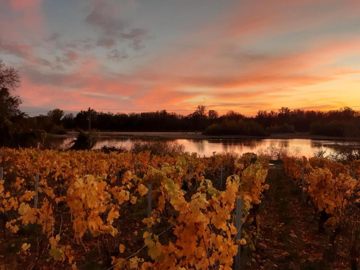Aux Nids D'Hirondelles Leilighet Pouilly-sur-Loire Eksteriør bilde
